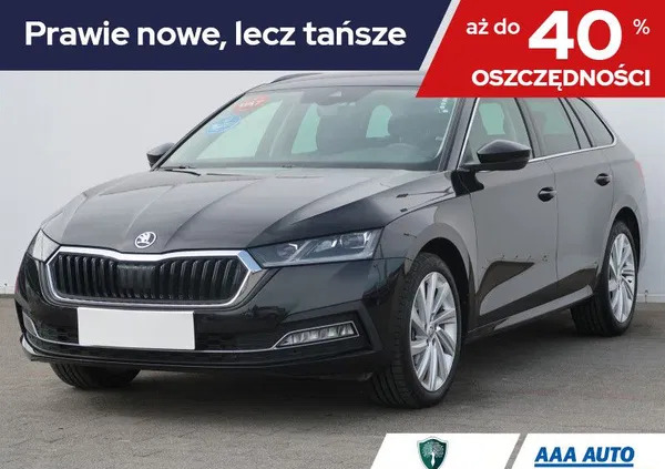 skoda octavia Skoda Octavia cena 125001 przebieg: 21885, rok produkcji 2023 z Sompolno